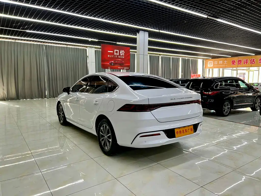 BYD BYD Qin PLUS 2024 Glory Edition DM-i 55KM Leading Model 2024 - thumbnail 4