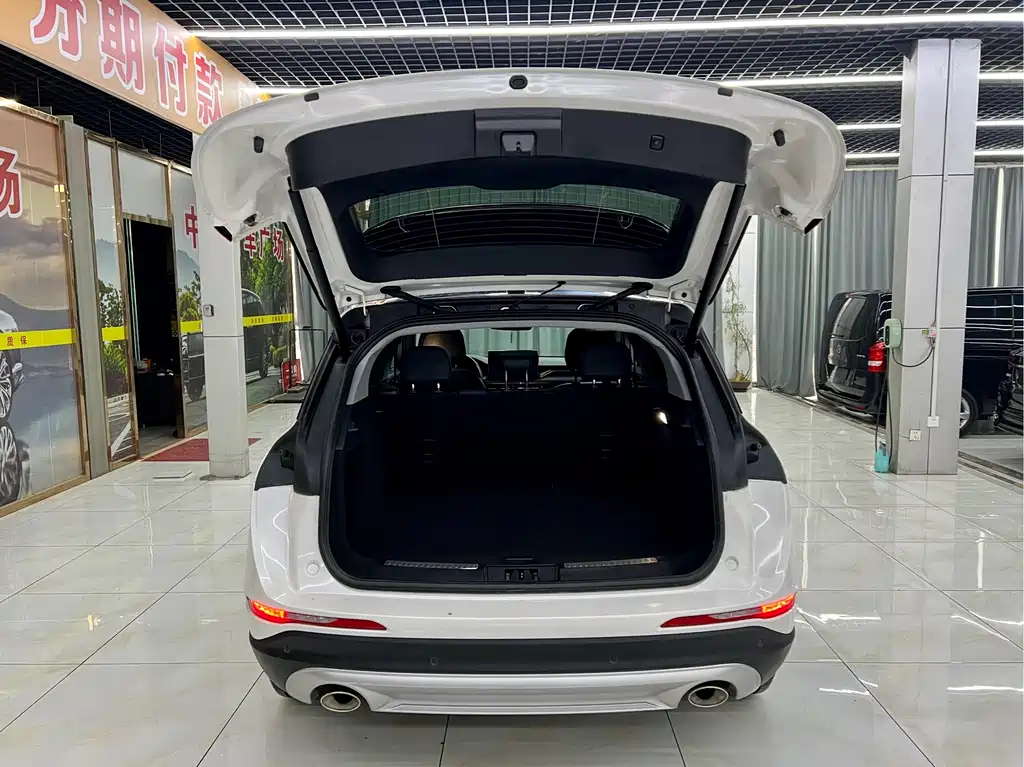 Lincoln Liberator 2022 2.0T Front-Wheel Drive Premium Edition 2022 - thumbnail 8