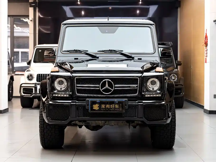 Mercedes-Benz Mercedes-Benz G-Class AMG 2013 AMG G 63 2015 - thumbnail 2