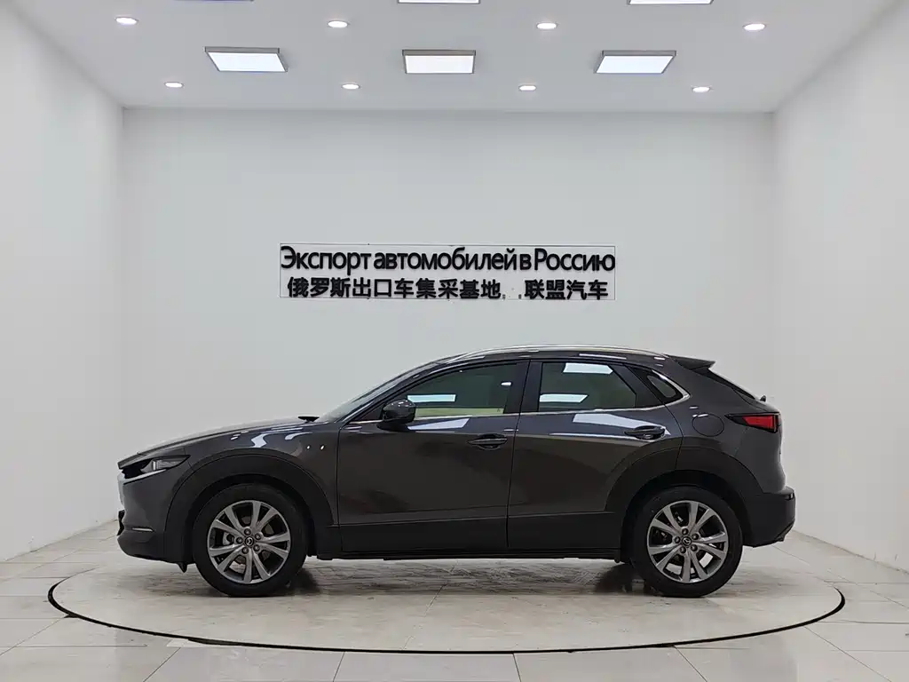 Mazda Mazda CX-30 2021 2.0L Automatic Premium 2022 - thumbnail 5