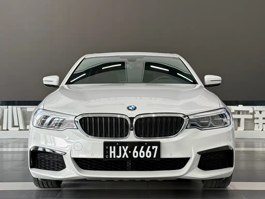 BMW BMW 5 Series 2019 530Li Luxury M Sport Package 2019 - thumbnail 2