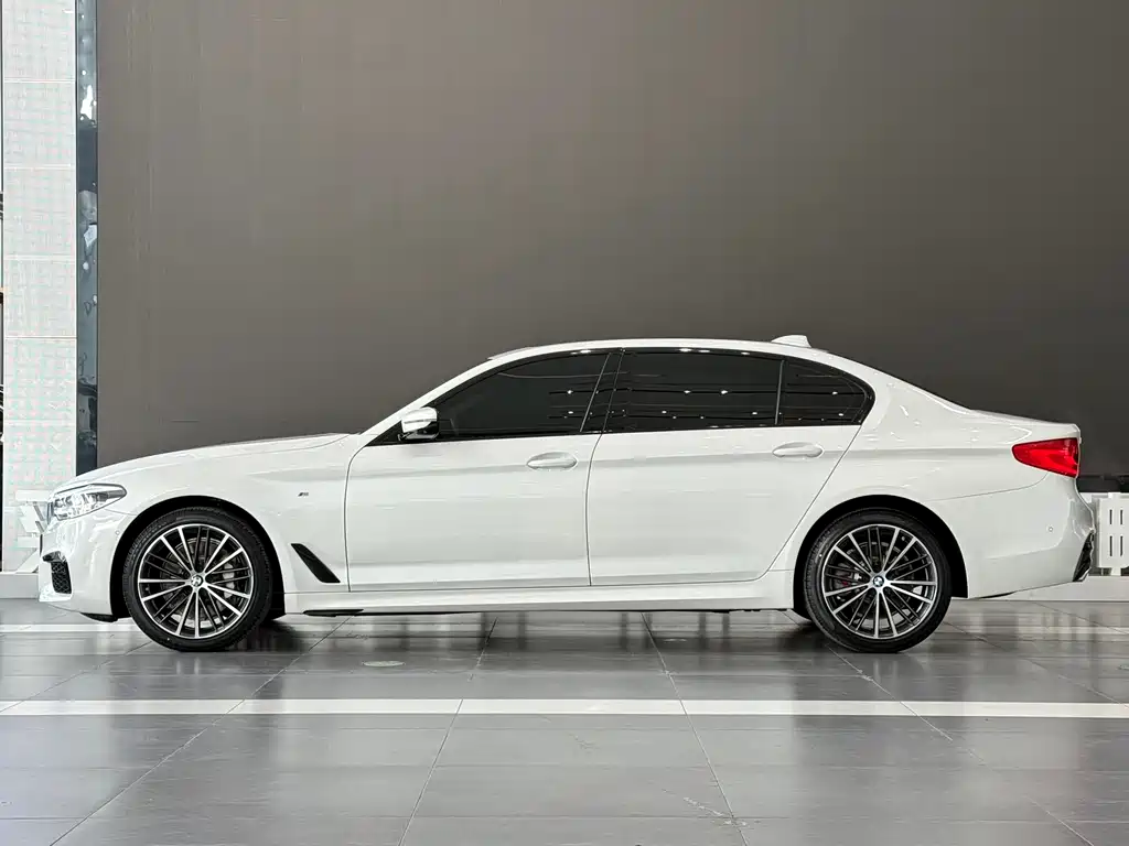 BMW BMW 5 Series 2019 530Li Luxury M Sport Package 2019 - thumbnail 4