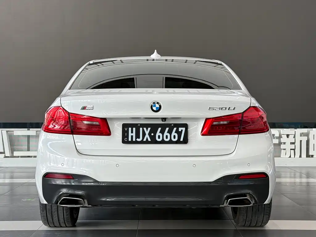 BMW BMW 5 Series 2019 530Li Luxury M Sport Package 2019 - thumbnail 6