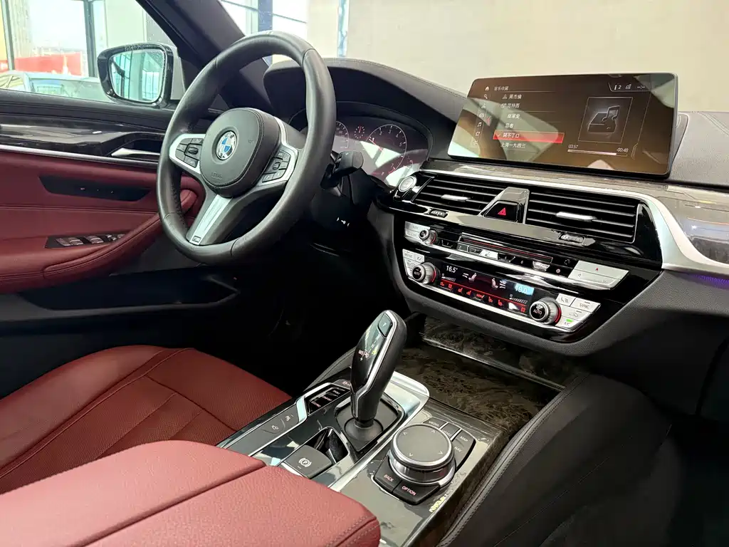 BMW BMW 5 Series 2019 530Li Luxury M Sport Package 2019 - thumbnail 12