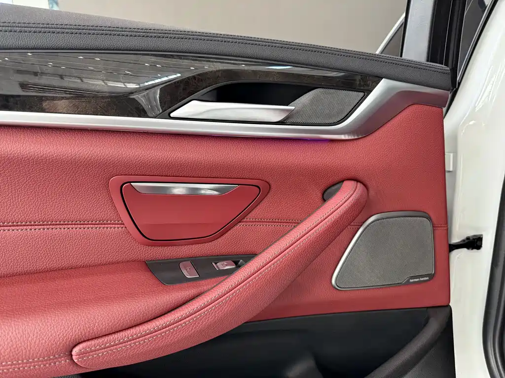 BMW BMW 5 Series 2019 530Li Luxury M Sport Package 2019 - thumbnail 14
