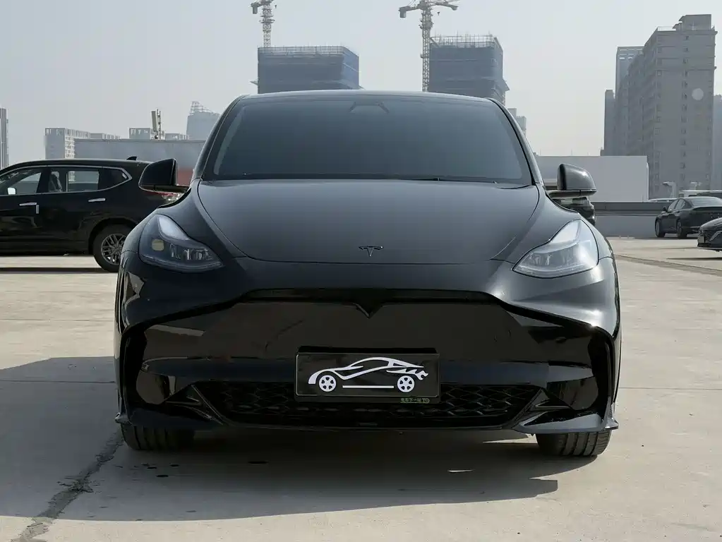 Tesla Model Y 2022 Rear-Wheel Drive Version 2023 - thumbnail 2