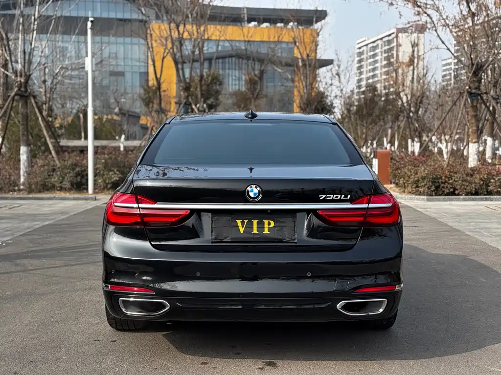 BMW BMW 7 Series 2017 730Li Leading Edition 2017 - thumbnail 9