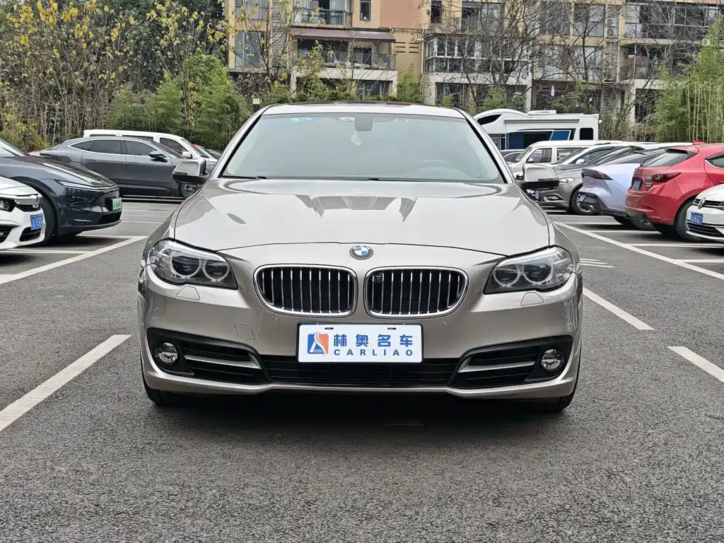 BMW BMW 5 Series 2017 525Li Leading Edition 2017 - thumbnail 2