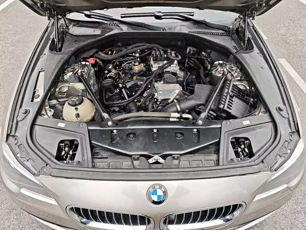 BMW BMW 5 Series 2017 525Li Leading Edition 2017 - thumbnail 24