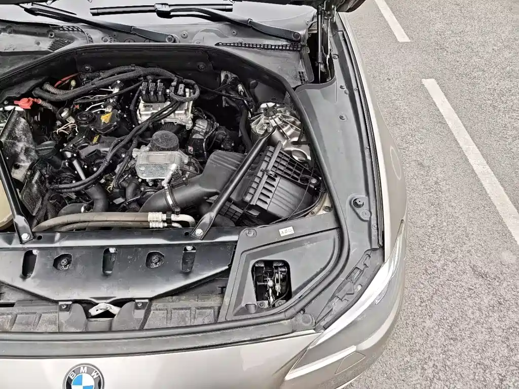 BMW BMW 5 Series 2017 525Li Leading Edition 2017 - thumbnail 27