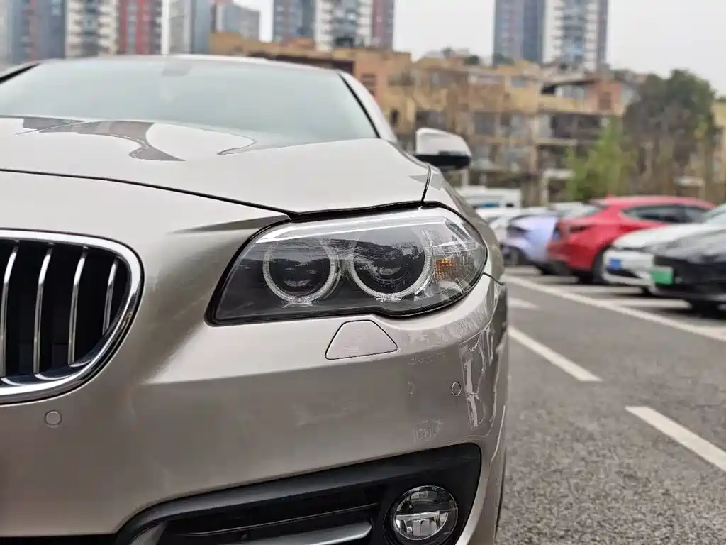 BMW BMW 5 Series 2017 525Li Leading Edition 2017 - thumbnail 28