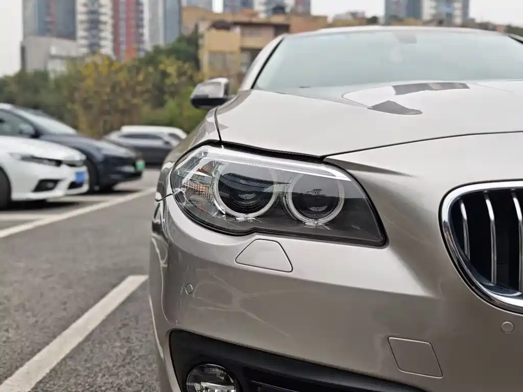 BMW BMW 5 Series 2017 525Li Leading Edition 2017 - thumbnail 29