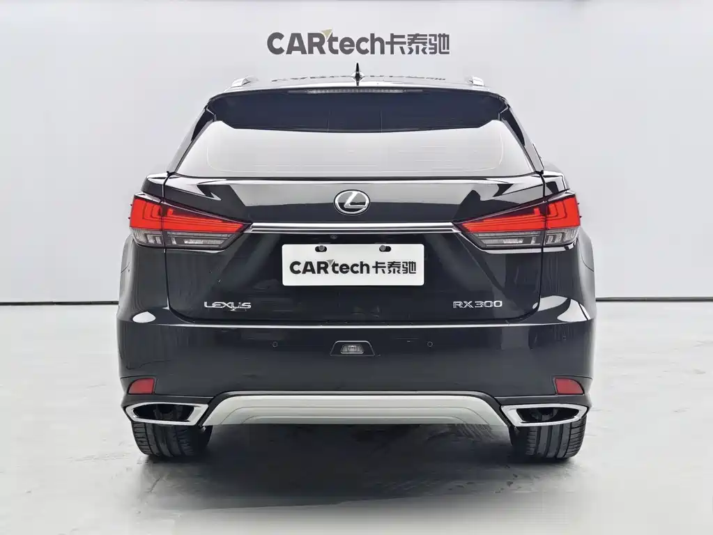 Lexus Lexus RX 300 F Sport (2020 Facelift) AWD Comfort Version 2022 - thumbnail 5