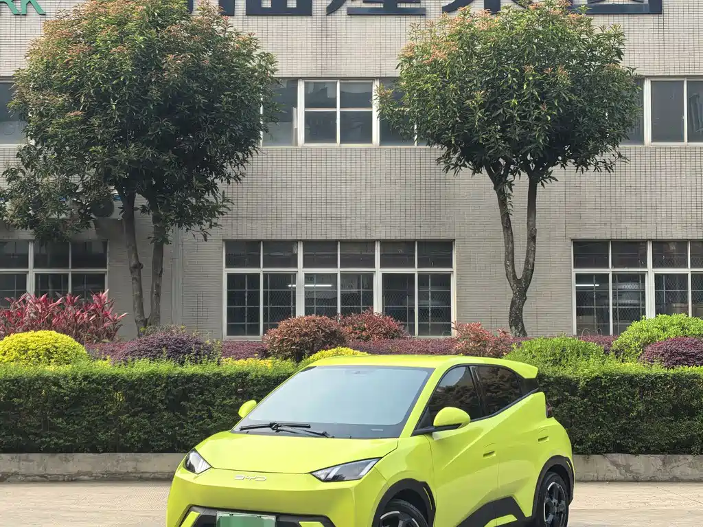 BYD BYD Haiou 2023 Flying Edition 2023 - thumbnail 8