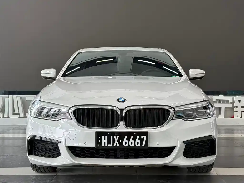 BMW BMW 5 Series 2020 530Li Leading Model M Sport Package 2020 - thumbnail 2