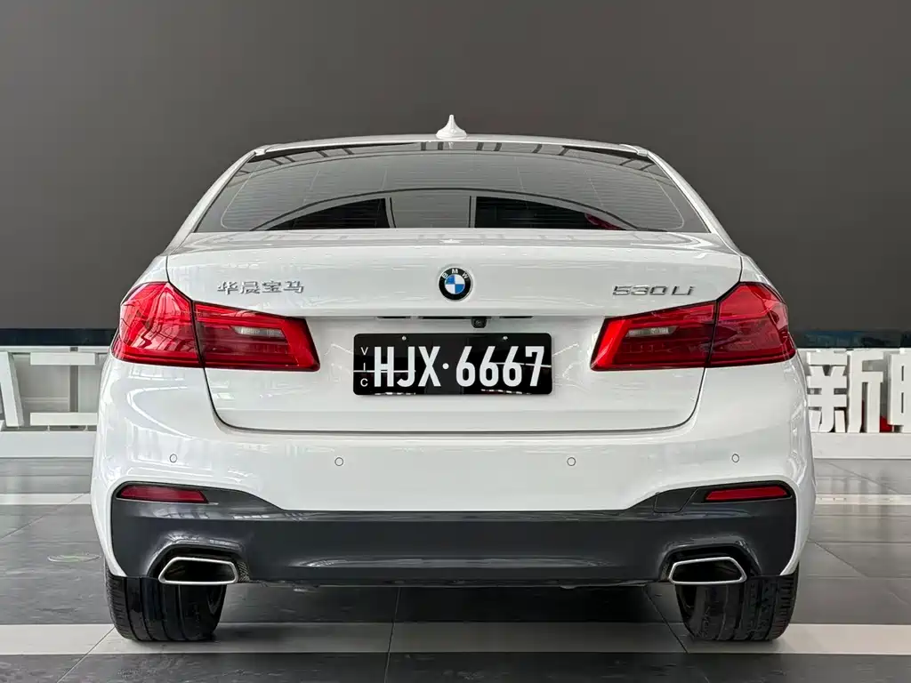 BMW BMW 5 Series 2020 530Li Leading Model M Sport Package 2020 - thumbnail 6