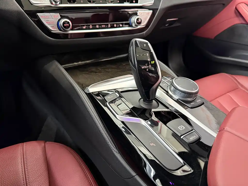 BMW BMW 5 Series 2020 530Li Leading Model M Sport Package 2020 - thumbnail 15