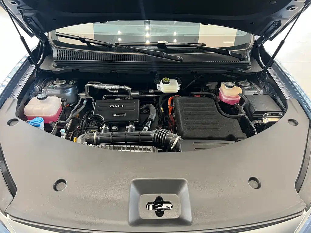 BYD BYD Song Pro NEV 2025 Second Generation Intelligent Driving Version DM-i 115KM Excellence Model 2025 - thumbnail 14