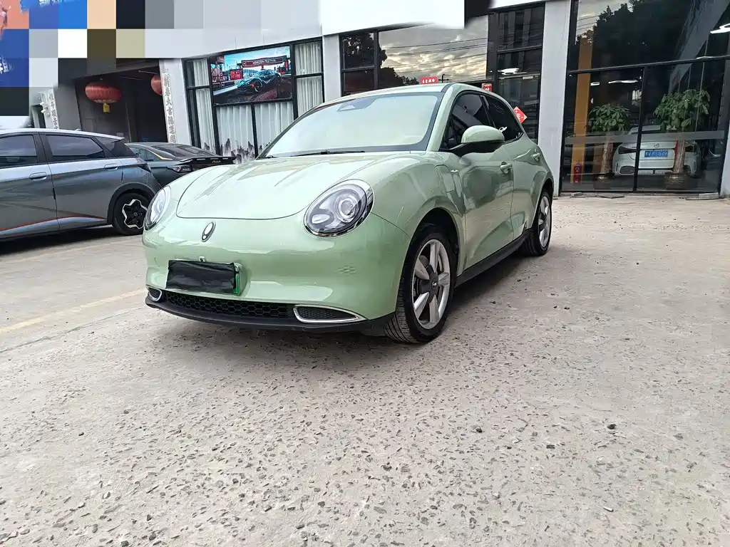 Ora ORA Good Cat 2023 401km Standard Range Luxury Model Ternary Lithium 2022