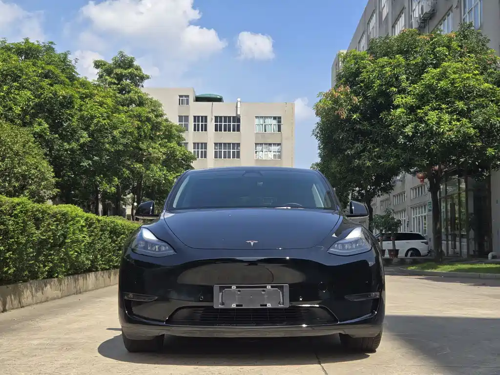 Tesla Model Y 2022 Rear-Wheel Drive 2022 - thumbnail 2