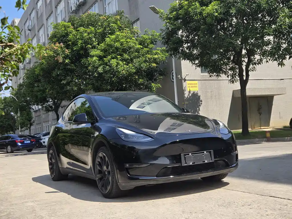 Tesla Model Y 2022 Rear-Wheel Drive 2022 - thumbnail 3