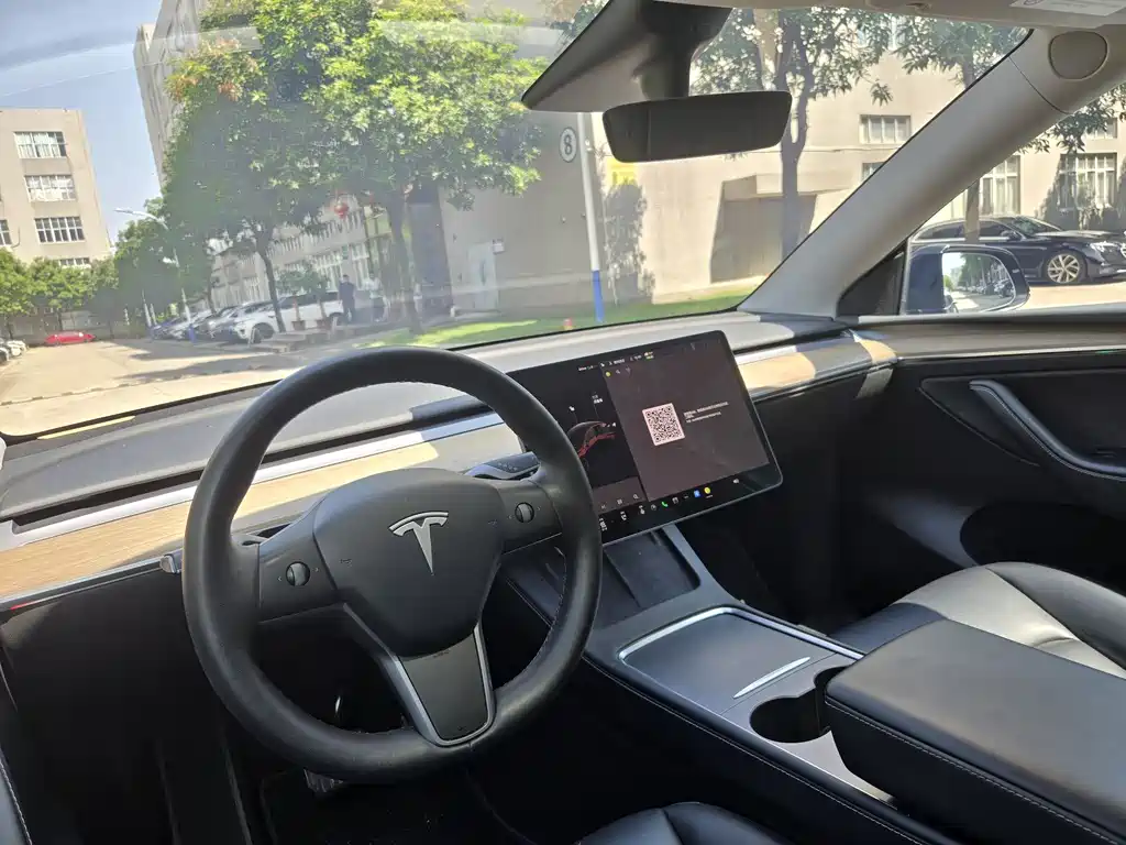 Tesla Model Y 2022 Rear-Wheel Drive 2022 - thumbnail 10