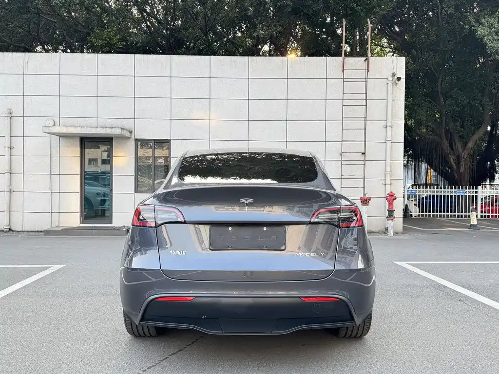 Tesla Model Y 2022 Rear-Wheel Drive 2022 - thumbnail 4