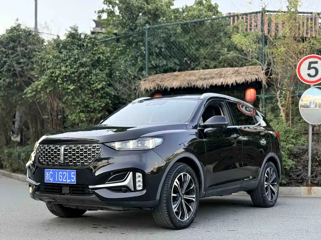 Wey WEY VV6 2020 2.0T FWD Intelligent Enjoyment+ 2020
