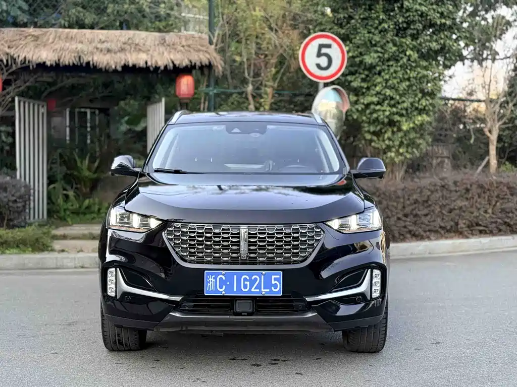 Wey WEY VV6 2020 2.0T FWD Intelligent Enjoyment+ 2020 - thumbnail 2