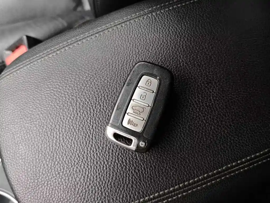 Kia Borrego 2013 3.8L Luxury Edition China V 2015 - thumbnail 30
