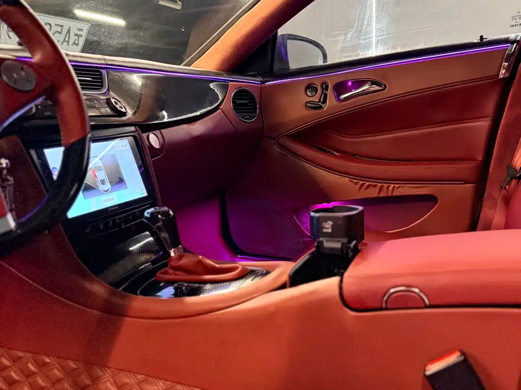 Mercedes-Benz Mercedes-Benz CLS 2009 CLS 300 2011 - thumbnail 11