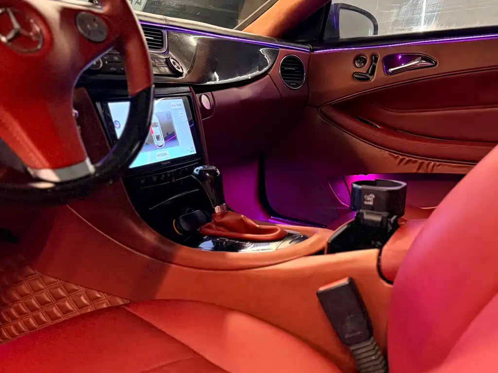 Mercedes-Benz Mercedes-Benz CLS 2009 CLS 300 2011 - thumbnail 13