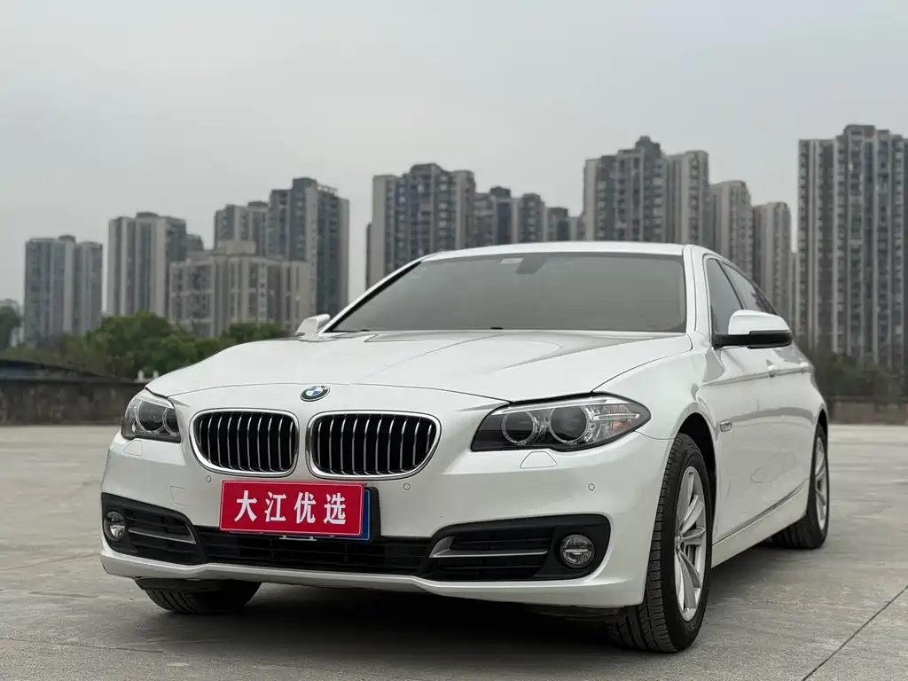 BMW BMW 5 Series 2017 520Li Elegant 2017