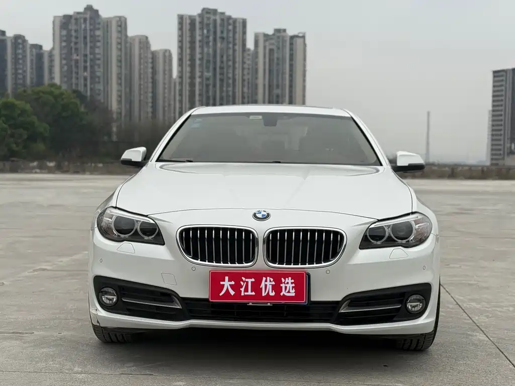 BMW BMW 5 Series 2017 520Li Elegant 2017 - thumbnail 2