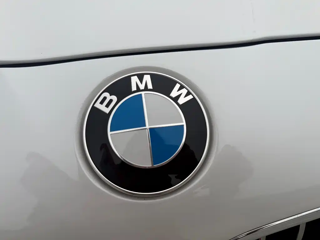 BMW BMW 5 Series 2017 520Li Elegant 2017 - thumbnail 25