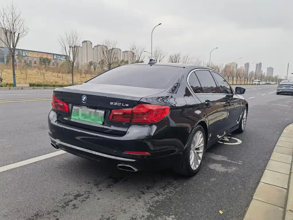 BMW BMW 5 Series New Energy 2020 Model 530Le Pioneer Edition 2020 - thumbnail 8
