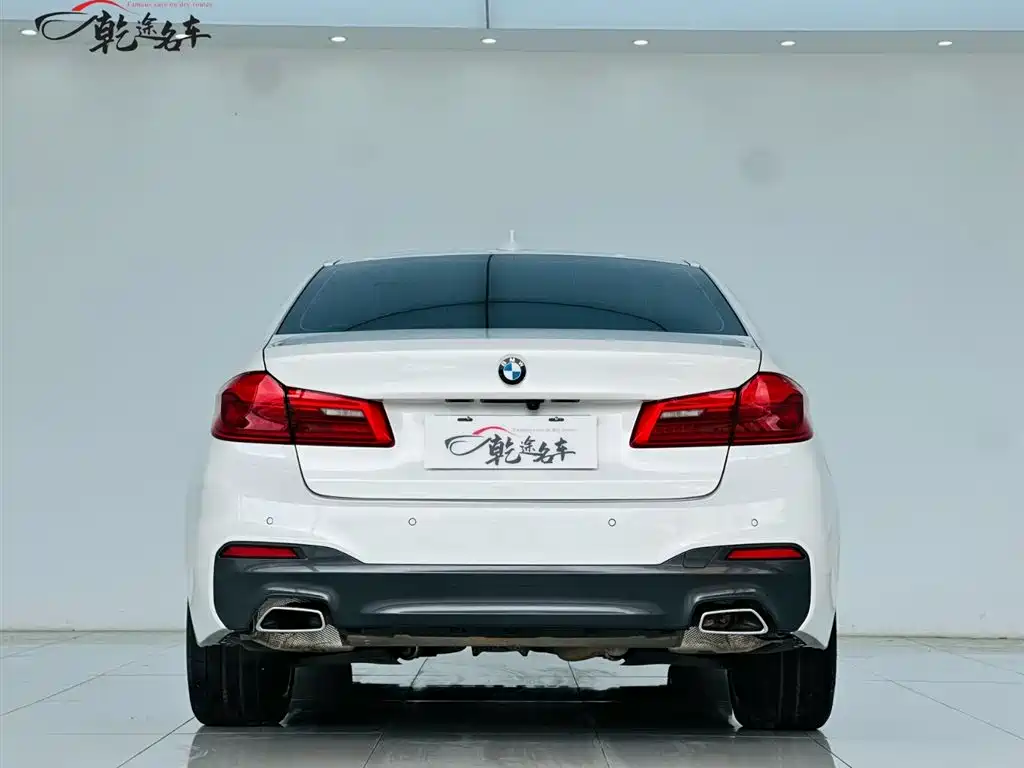 BMW BMW 5 Series 2020 530Li Leading Model M Sport Package 2020 - thumbnail 6