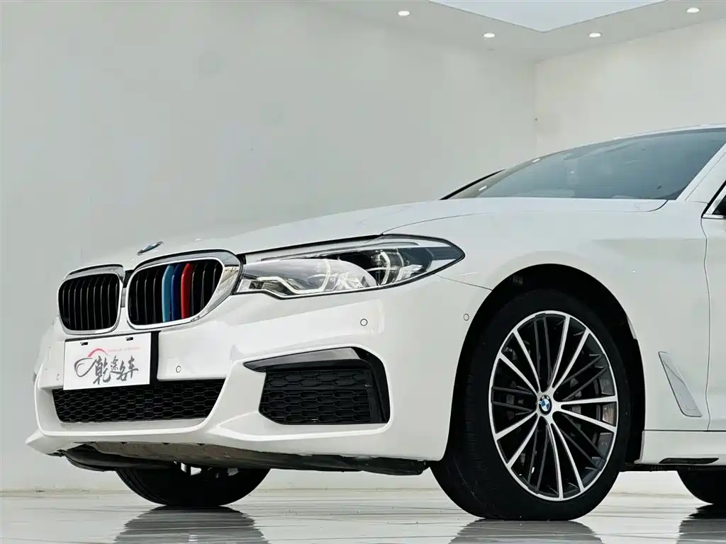 BMW BMW 5 Series 2020 530Li Leading Model M Sport Package 2020 - thumbnail 8
