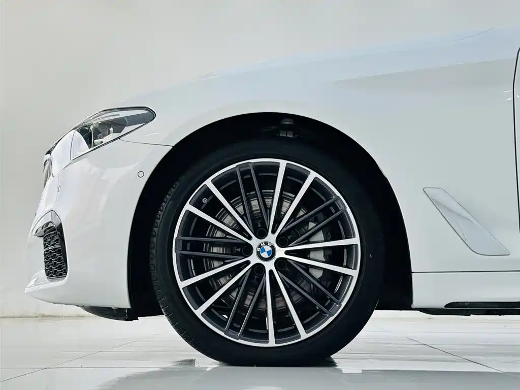 BMW BMW 5 Series 2020 530Li Leading Model M Sport Package 2020 - thumbnail 9