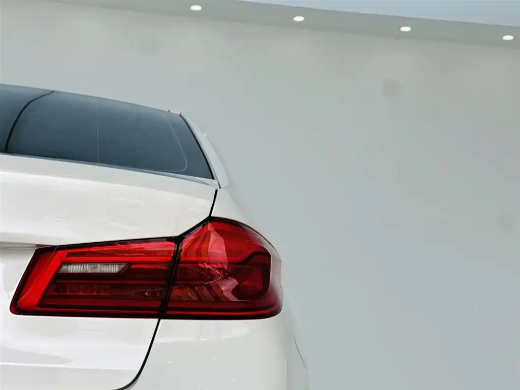 BMW BMW 5 Series 2020 530Li Leading Model M Sport Package 2020 - thumbnail 11