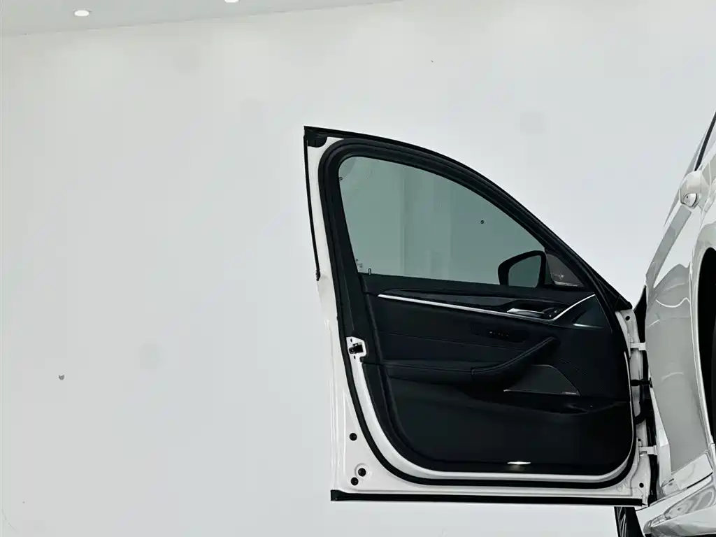 BMW BMW 5 Series 2020 530Li Leading Model M Sport Package 2020 - thumbnail 12