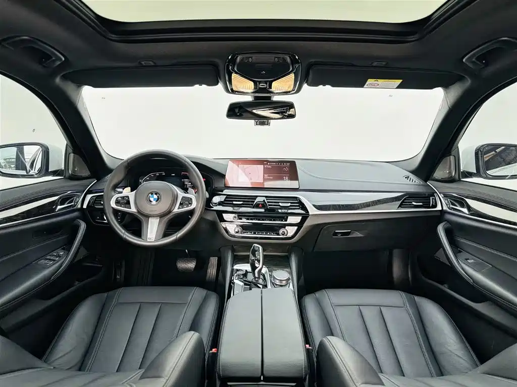 BMW BMW 5 Series 2020 530Li Leading Model M Sport Package 2020 - thumbnail 15