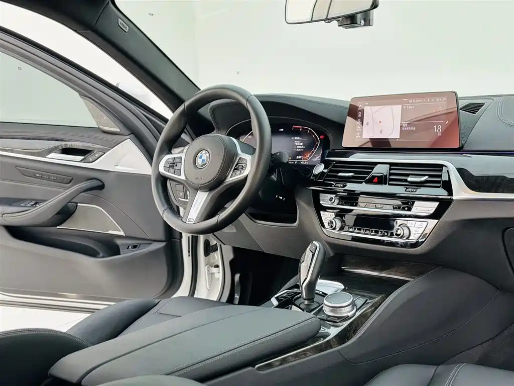 BMW BMW 5 Series 2020 530Li Leading Model M Sport Package 2020 - thumbnail 16