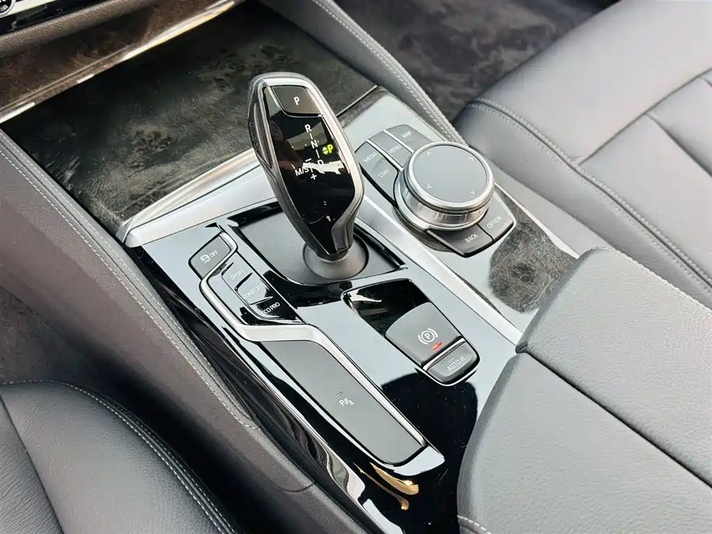 BMW BMW 5 Series 2020 530Li Leading Model M Sport Package 2020 - thumbnail 19