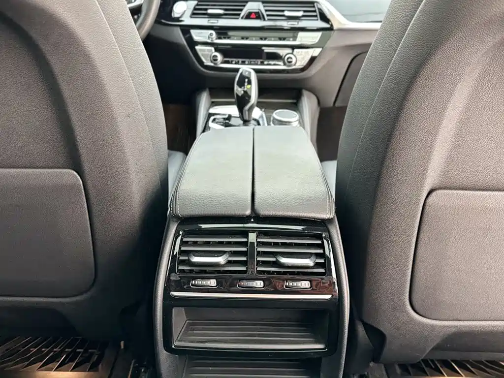 BMW BMW 5 Series 2020 530Li Leading Model M Sport Package 2020 - thumbnail 20
