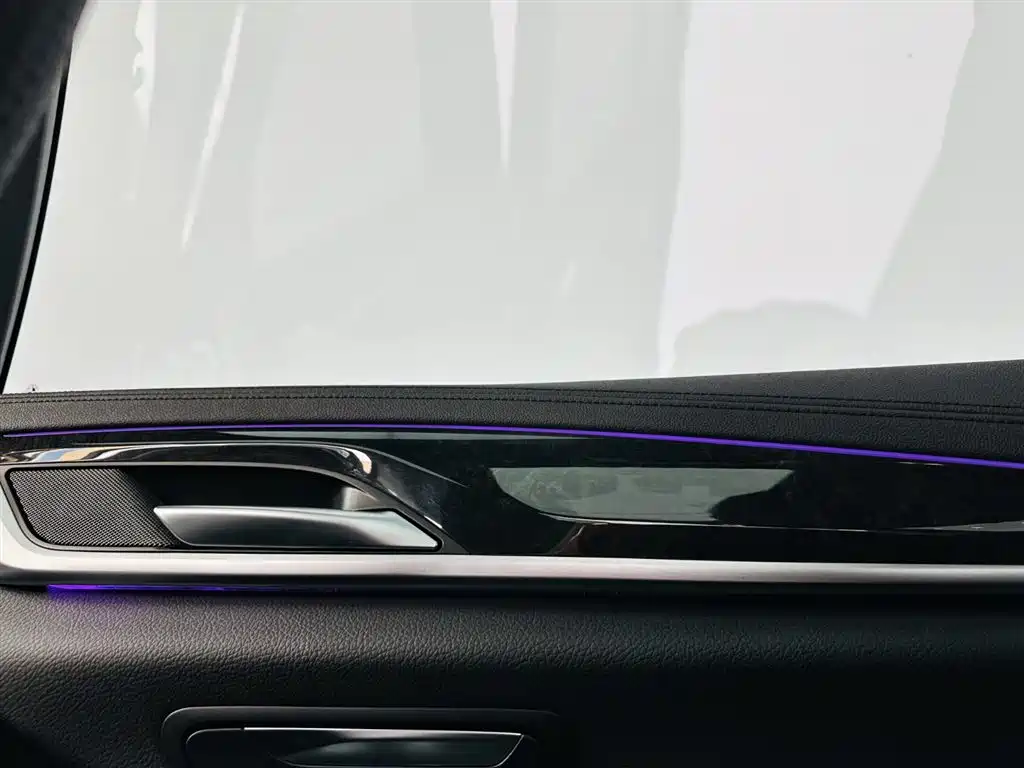 BMW BMW 5 Series 2020 530Li Leading Model M Sport Package 2020 - thumbnail 22