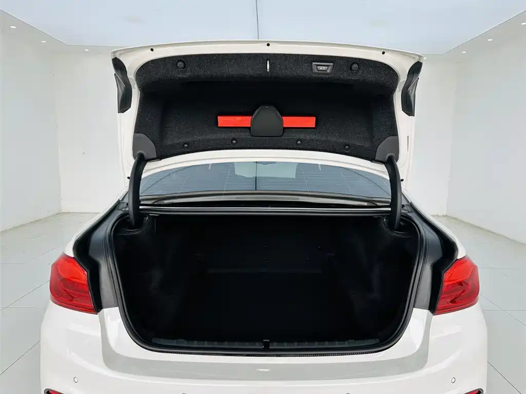 BMW BMW 5 Series 2020 530Li Leading Model M Sport Package 2020 - thumbnail 26