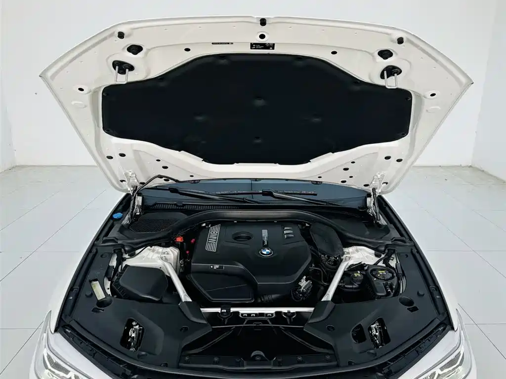 BMW BMW 5 Series 2020 530Li Leading Model M Sport Package 2020 - thumbnail 28