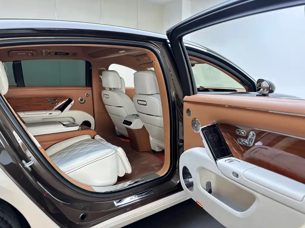 Zunjie Zunjie S800 2025 Extended Range Starlight Executive Edition 4-Seat (192-line LiDAR) 2026 - thumbnail 16