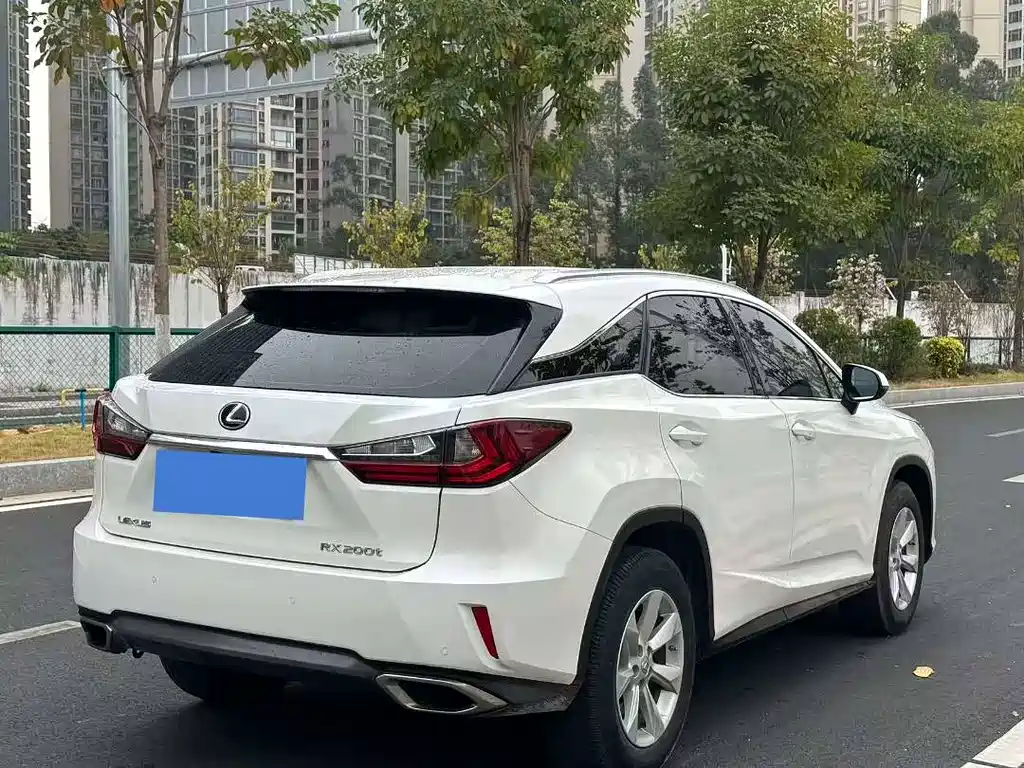 Lexus Lexus RX 300 2016 FWD Premium Edition China V 2017 - thumbnail 6
